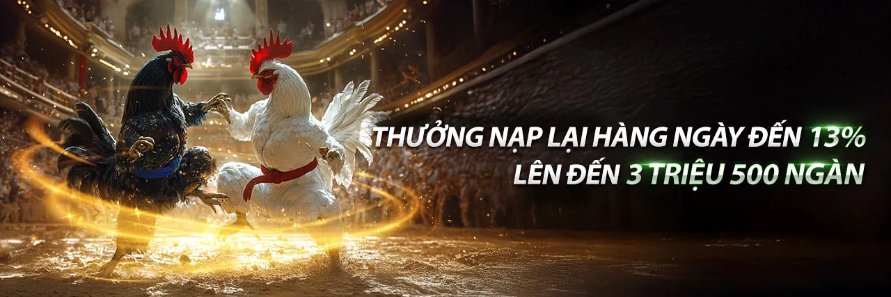 Hình ảnh tổng quan về tin tức ngành cá cược trực tuyến của hot51 đăng ký